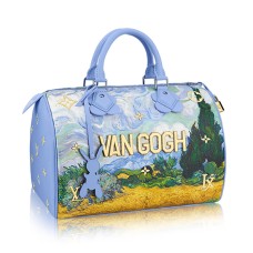 Kabelka Louis Vuitton Speedy 30 M43314