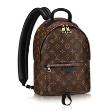 Louis Vuitton M41560 Palm Springs Batoh PM Monogram Canvas