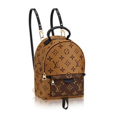 Louis Vuitton M42411 Palm Springs Batoh Mini Monogram Canvas